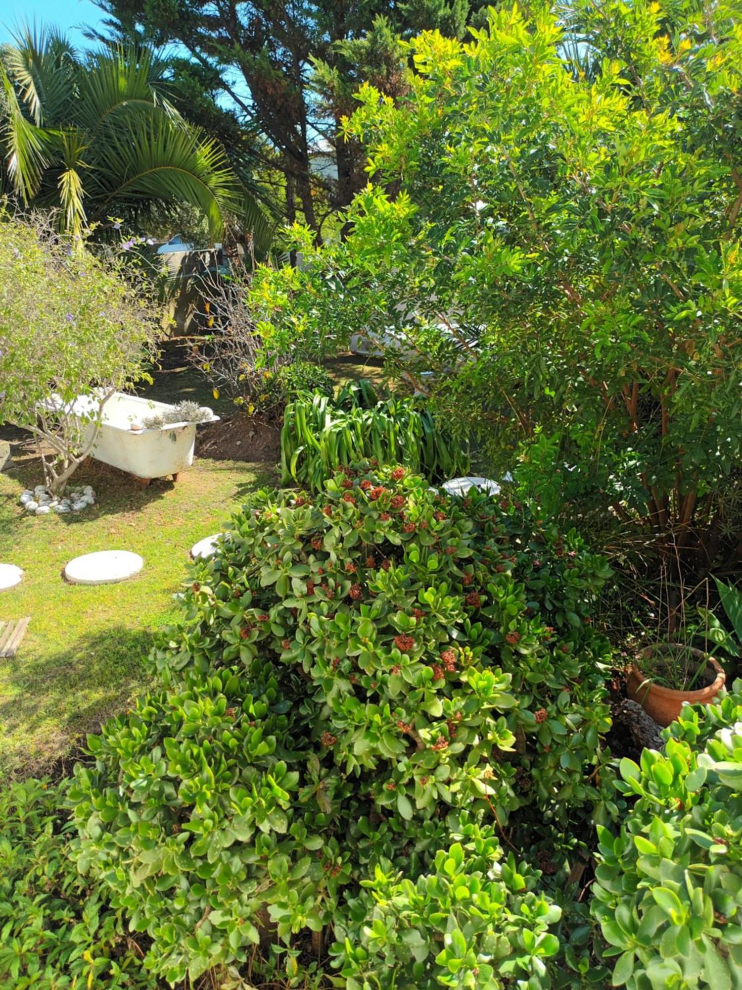 Self Catering Unit 6, Sandbaai Hermanus Habitación foto